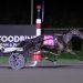 Always B Naughty rockets to Breeders Crown victory