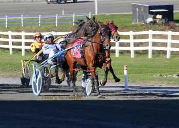 Stunning win by Always B Miki mare