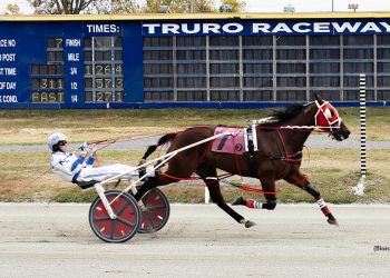 Veteran pacer American Risk chasing 53rd career win