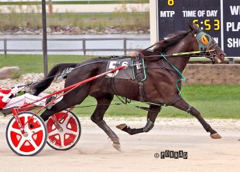 Angel Nation gives Smith narrow edge in driver race