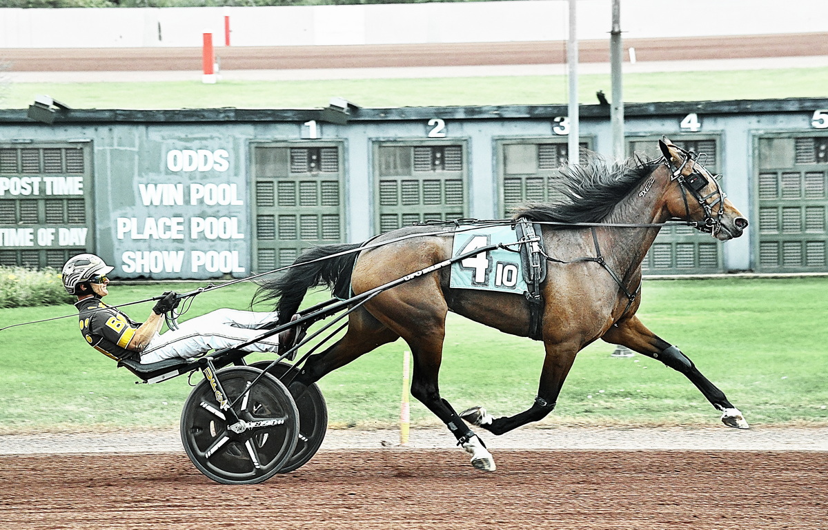 Bar Hopping filly goes the race of her life 1