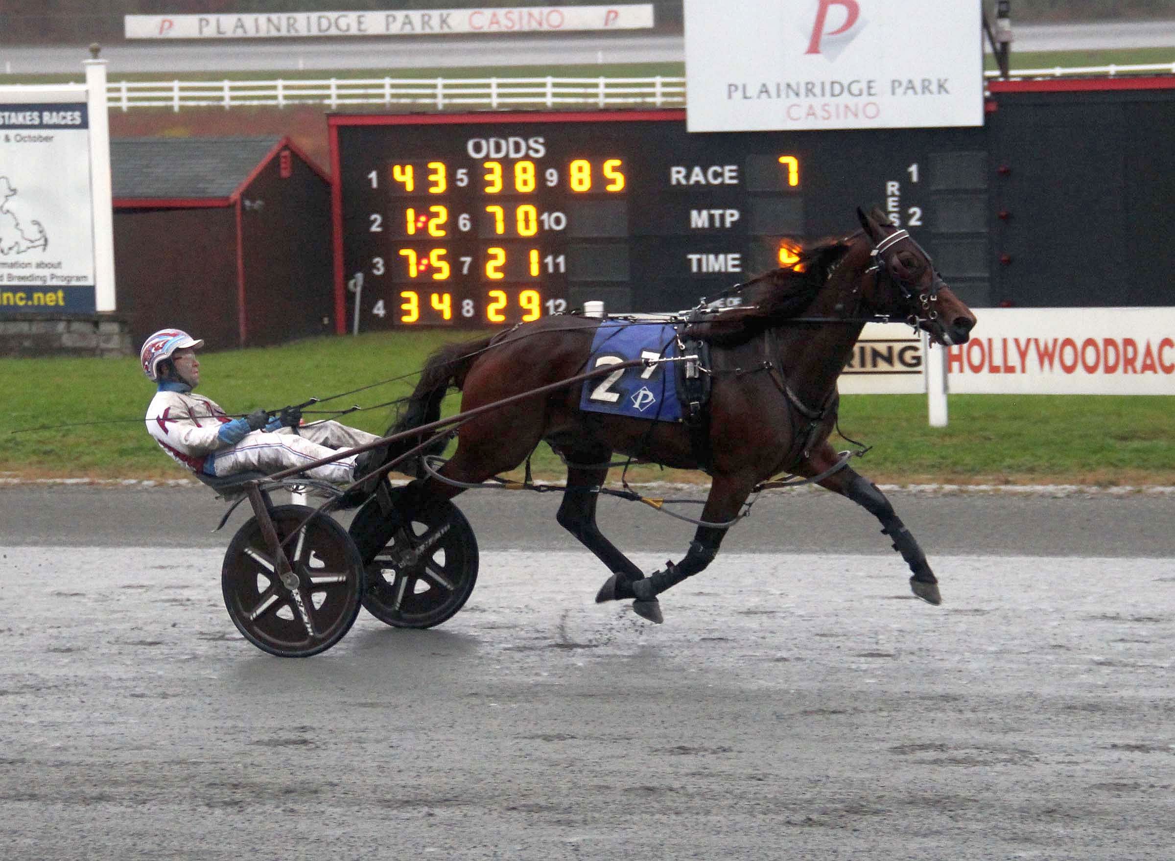 Eight champions crowned on $1.2 million Massachusetts Breeders Stakes day 7