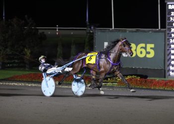 Beau Jangles goes 12-for-12 in record breaking Breeders Crown win