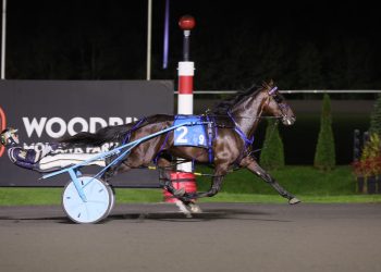 Brandon Blvd sets Canadian record in Breeders Crown elimination