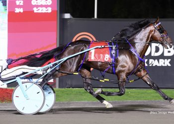 Beau Jangles tops $1 million in earnings with Gold win