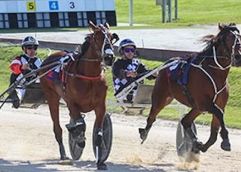 13 win Aussie pacer wins maiden trotting race