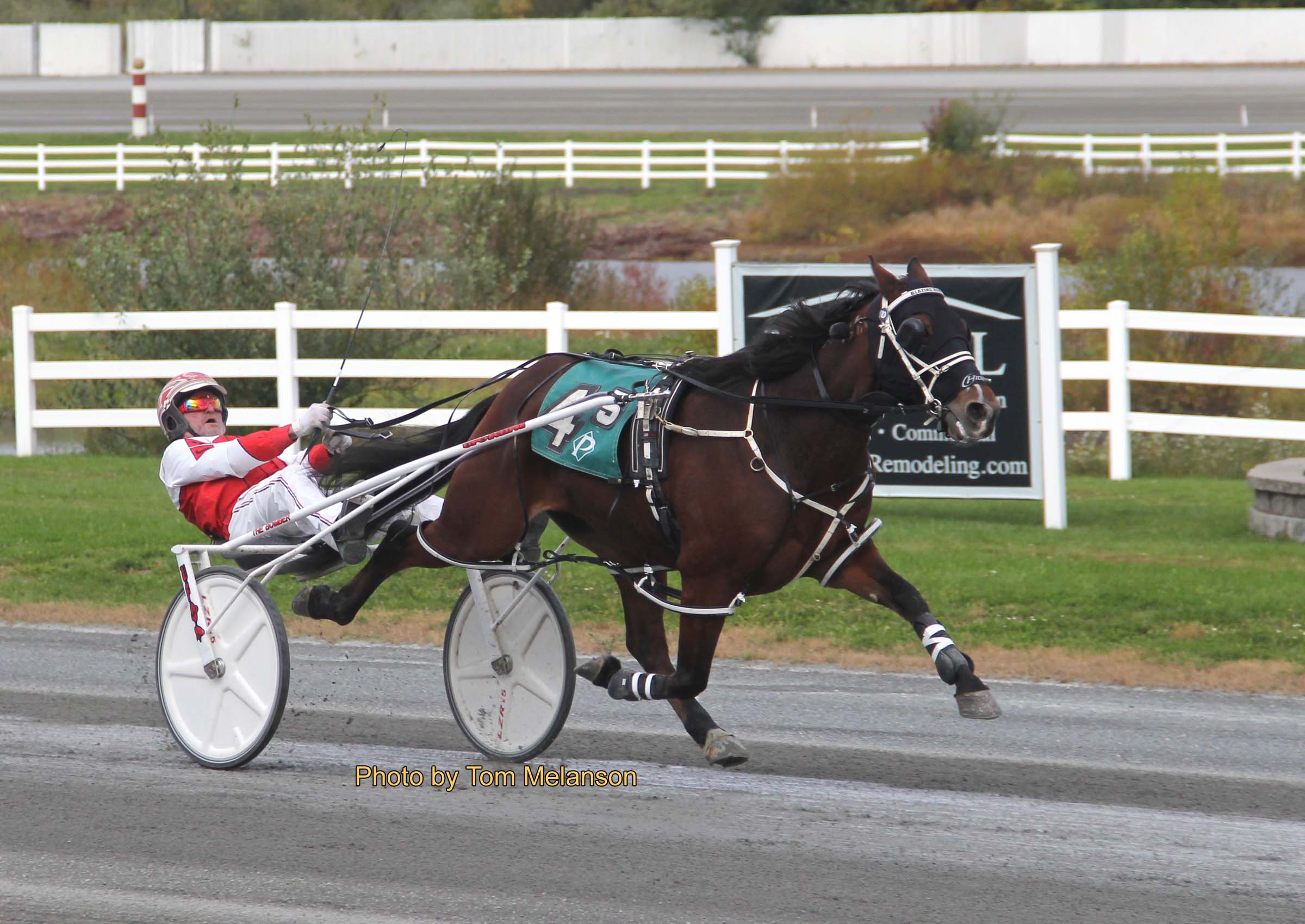 Blazing Home N scorches to impressive win 1