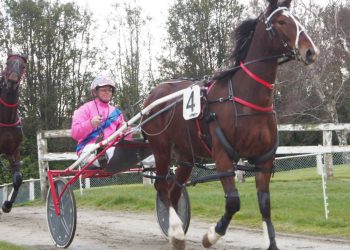 Gray set for two days