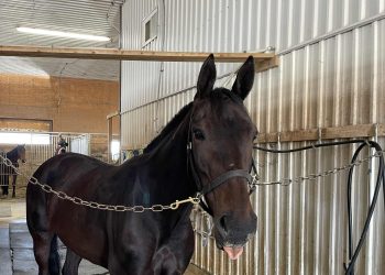 Game Changers – Bookie Baby