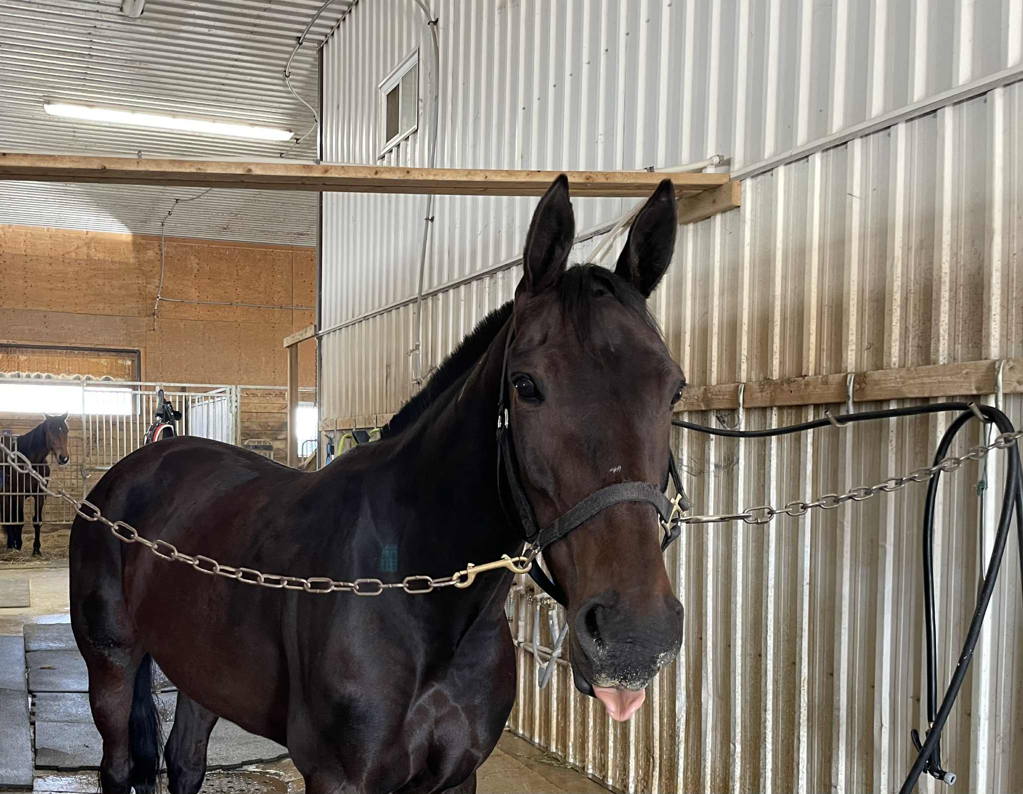 Game Changers - Bookie Baby 1