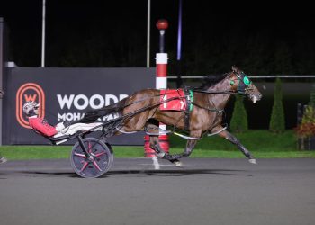 Brandon Blvd sets Canadian record in Breeders Crown elimination
