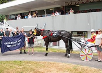 Ellis flying the flag for grassroots harness racing