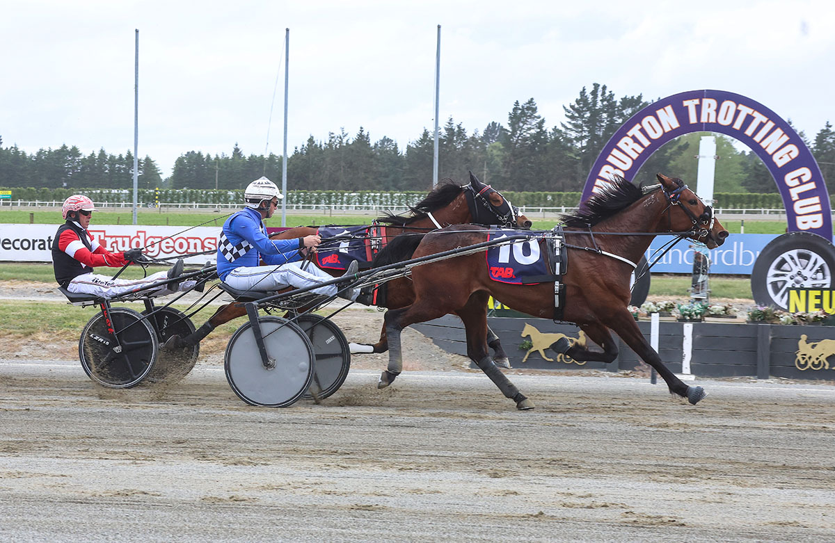 Ashburton undercard in review 16