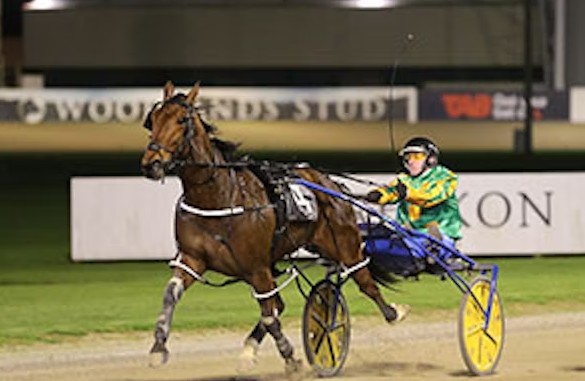 Rising star ready for new challenge at Alexandra Park 1