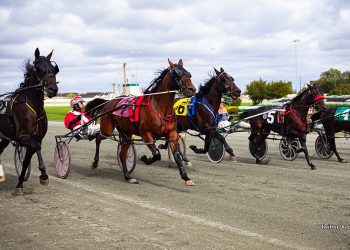 Lady Slipper and O’Brien stars set to go