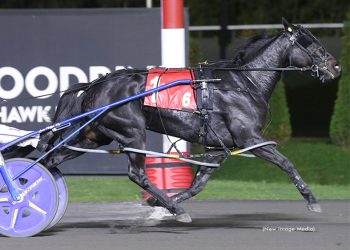 Control Your Bet springs 9-1 Harvest Series upset