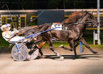 Local favorites shine in feature events