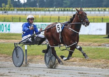 Williamson goes wide