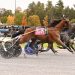 Big Box Hanover nears $1 million mark 2