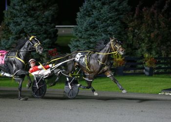 Dandy Ideal ends the winning streak of Louprint