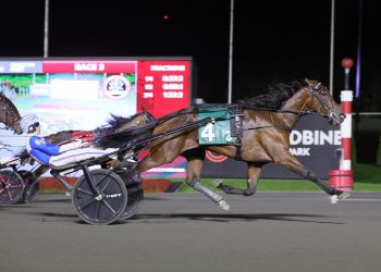 Delaney Hanover, Yo Tillie shine in Breeders Crown Elims