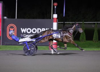 Breeders Crown elims for freshman male trotters run and won