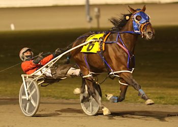 Doc Awesome leads Dowling to four-win night