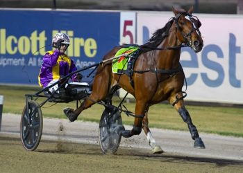 Double Lou runs them ragged in Breeders Challenge