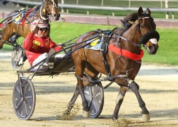 Dover Terrace lands plunge, Ends trainer’s 10-year wait