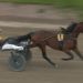 Dream Mine wins UET Grand Prix at Solvalla