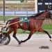 Elegant Resolve cruises to front-end score 2