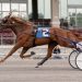 Elista Hanover, Apex prevail in Mohawk Qualifiers 1 Elista Hanover, Apex prevail in Mohawk Qualifiers