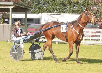 Williamson says it’s mission impossible for Empire City