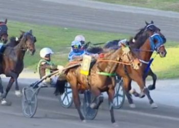 Enki Brown Effe takes GP Regione Sicilia