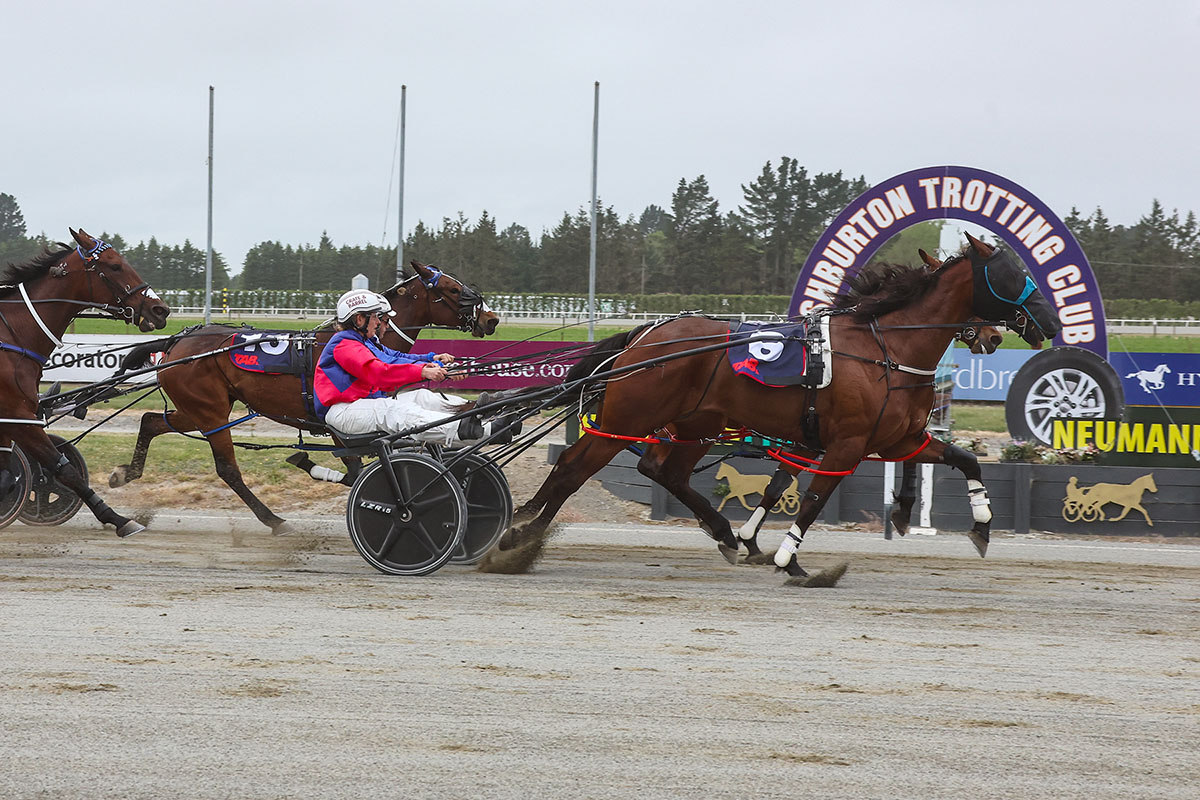 Ashburton undercard in review 8