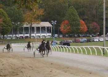 OHHA to Live Stream from 175th Fairfield County Fair