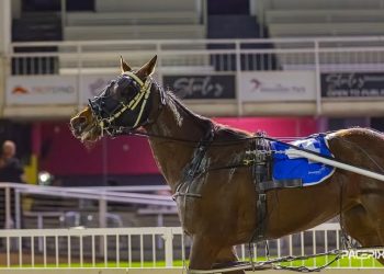 Fakenit too good in the WA Oaks