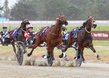 Ashburton undercard in review