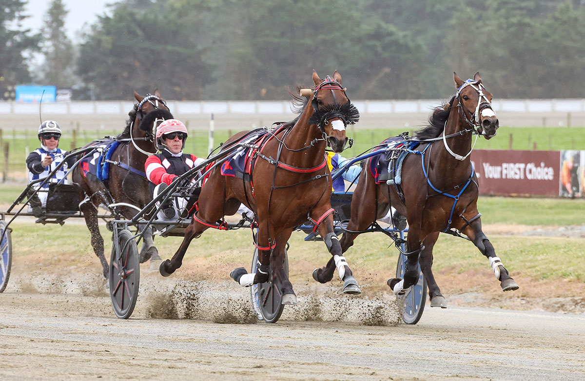 Ashburton undercard in review 1