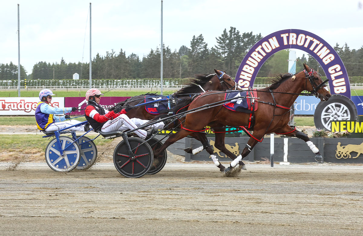 Ashburton undercard in review 2