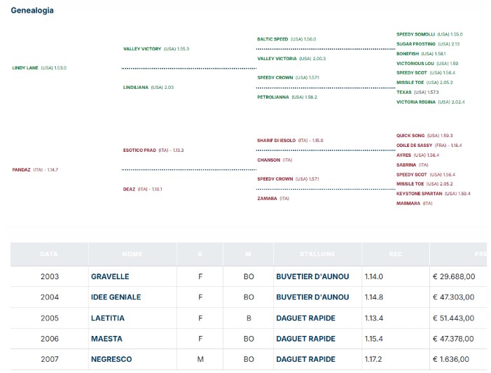 Gabrioz nails 98th Derby Italiano Del Trotto 5
