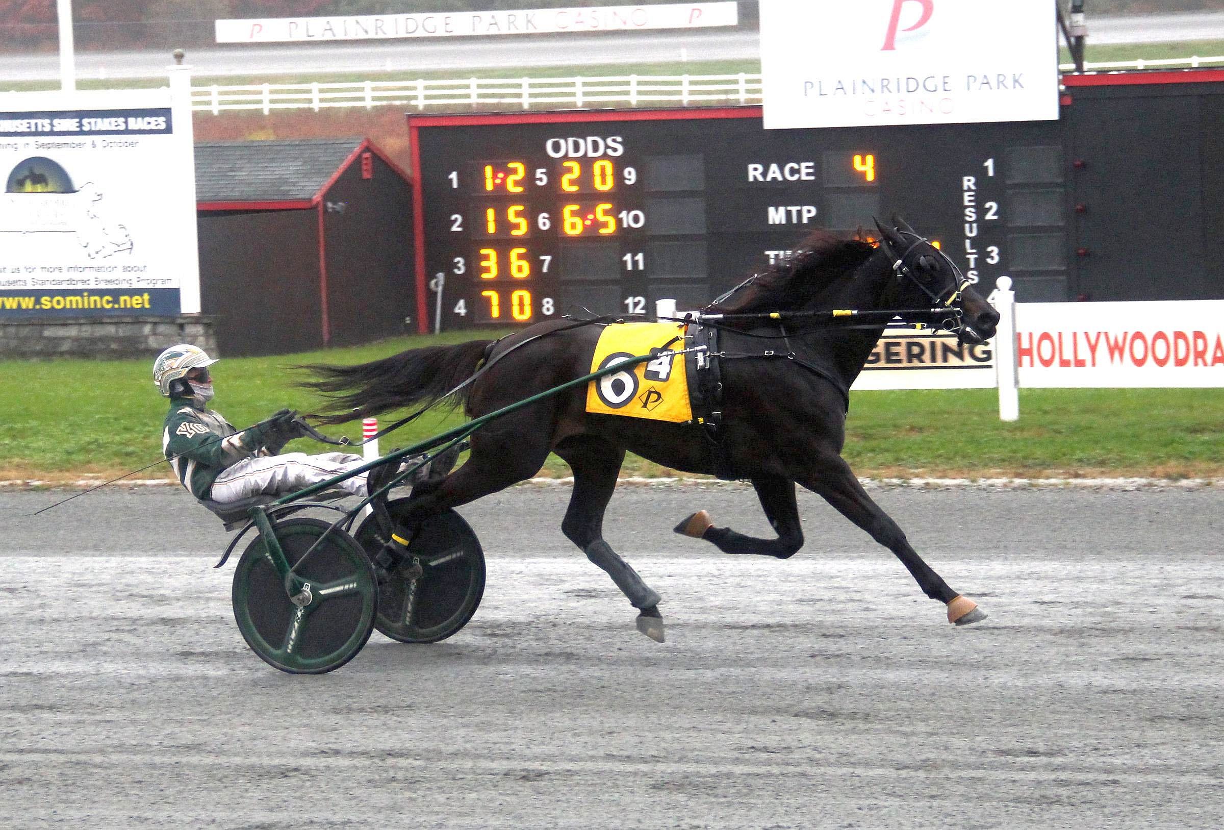 Eight champions crowned on $1.2 million Massachusetts Breeders Stakes day 4