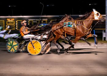 Good Boy was best in Batavia Friday feature