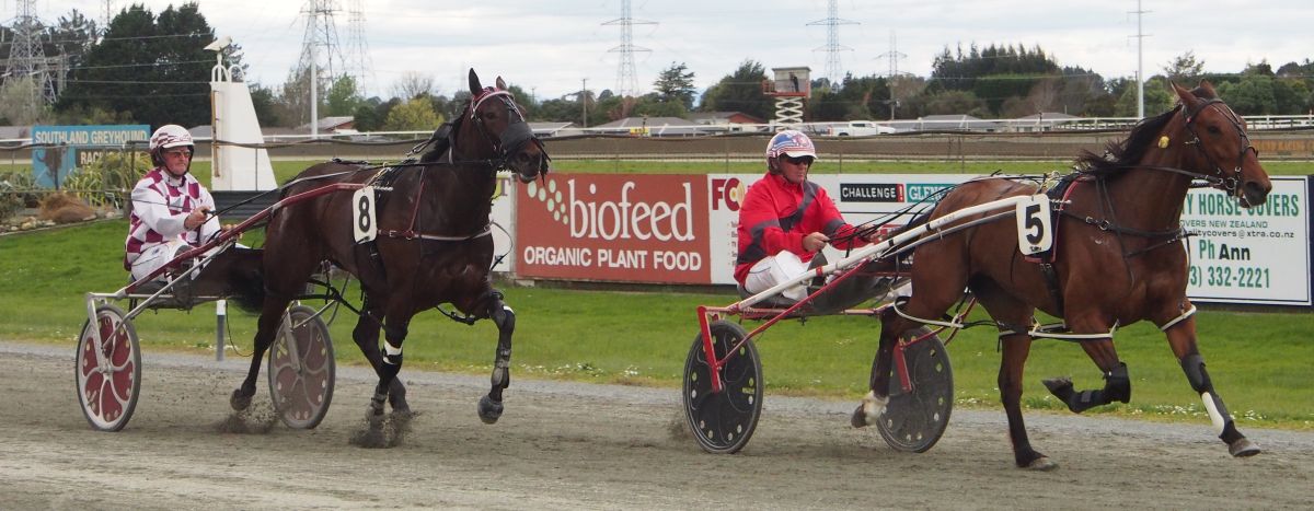 Southern breeder gets quinella 1