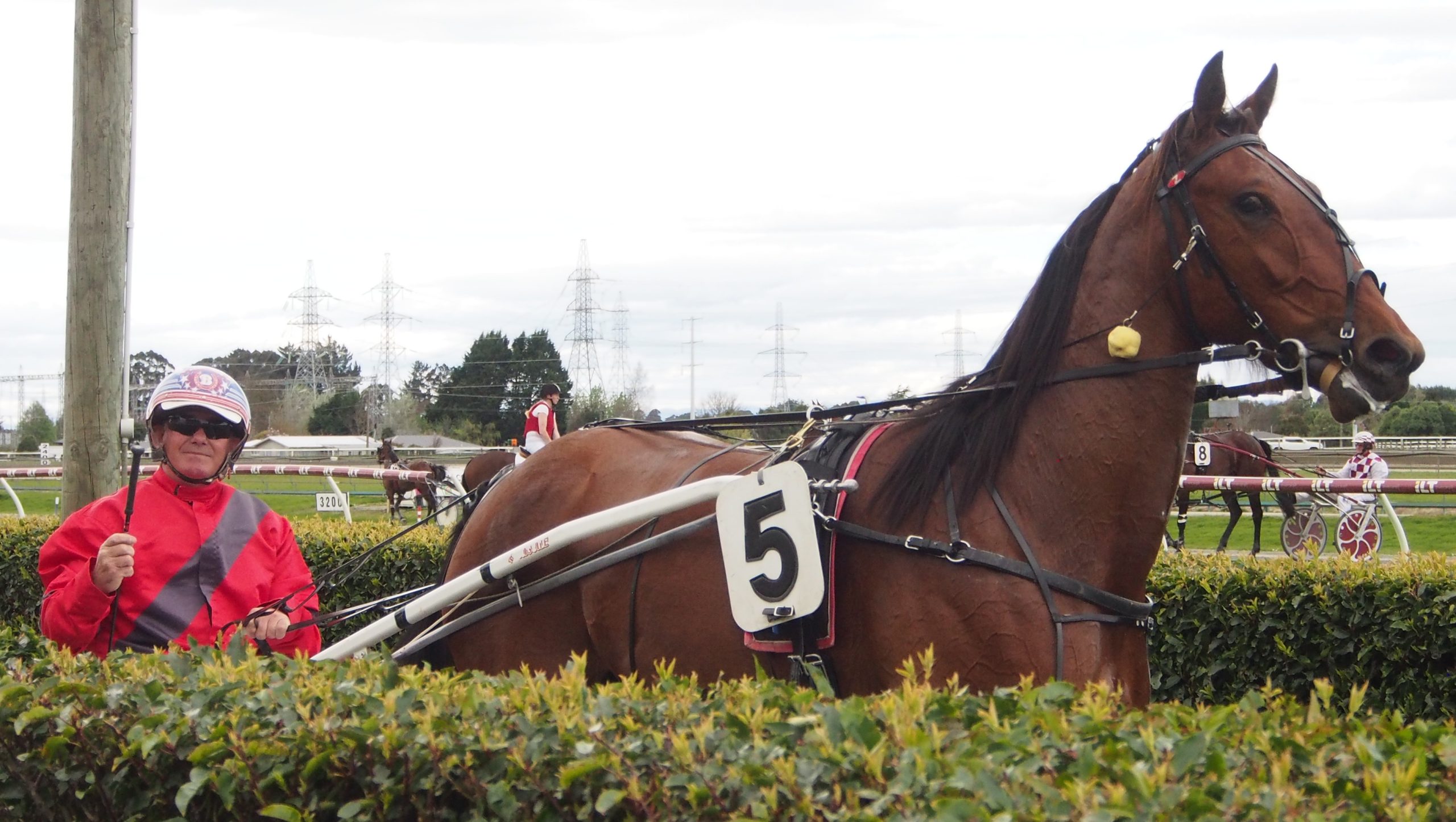 Southern breeder gets quinella 2