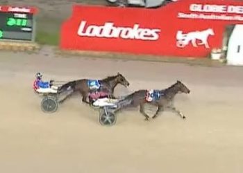 Hez So Royal delivers career highlight for trainer Alan Cronin