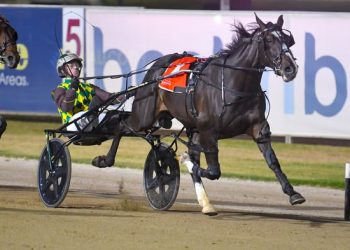 Hollywood Strip makes it five on end winning Breeders Challenge