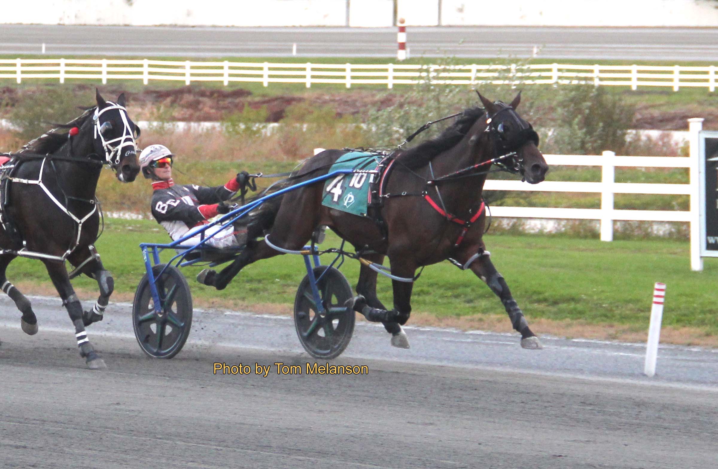 Blazing Home N scorches to impressive win 2