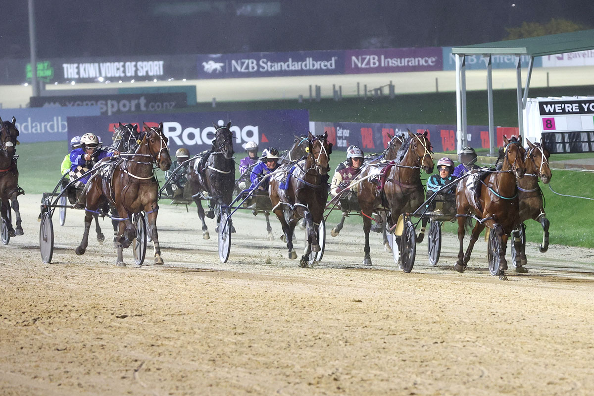 Royally bred filly upsets at Addington 1