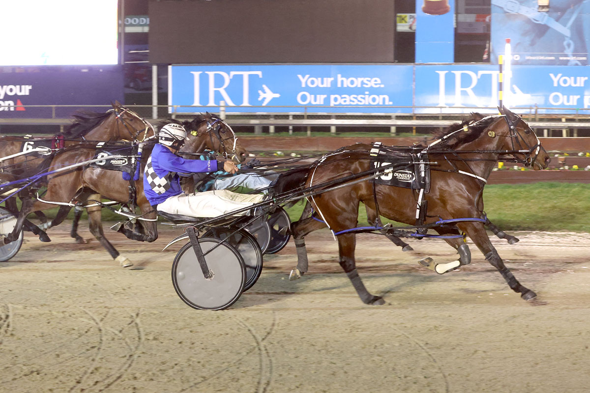 Royally bred filly upsets at Addington 2